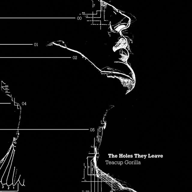 Profile of a neck and face created from technical schematics white on black album art